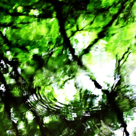 10 - green ripples tina_manthorpe flickr overlay